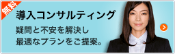 導入コンサルティング